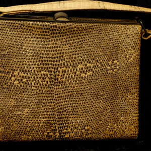May include: A brown snakeskin clutch bag with a top handle and a clasp closure.