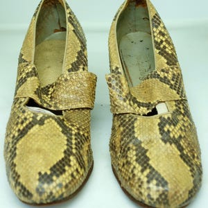 Puede incluir: Un par de zapatos vintage de piel de serpiente. Los zapatos presentan un estampado de piel de serpiente marrón y beige, con una correa en la parte superior del pie. Los zapatos tienen una punta redondeada y un tacón bajo.