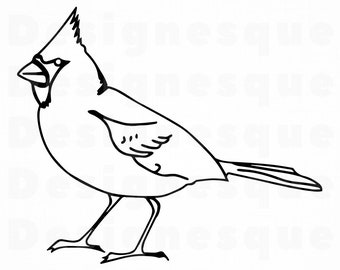 Download Cardinal svg | Etsy