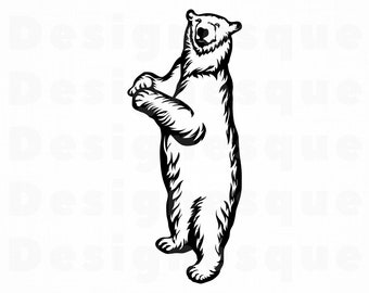 Download Polar Bear Cricut Etsy