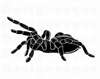 tarantula svg etsy
