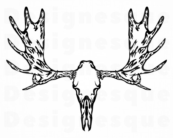 Moose Skull SVG Elk Skull SVG Moose Skull Clipart Moose | Etsy