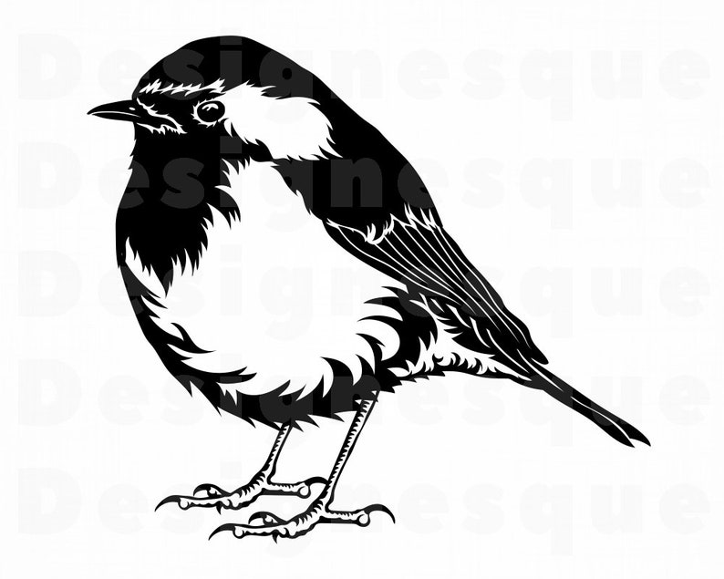 Download European Robin SVG Bird SVG Bird Clipart Bird Files for | Etsy