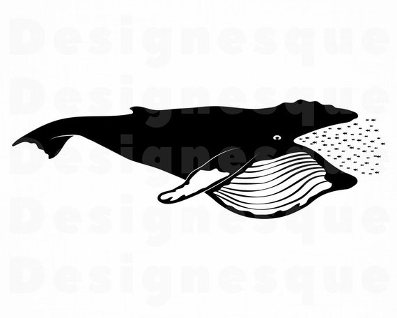 Download Whale Eating Fish Svg Whale Svg Whale Clipart Whale Files Etsy