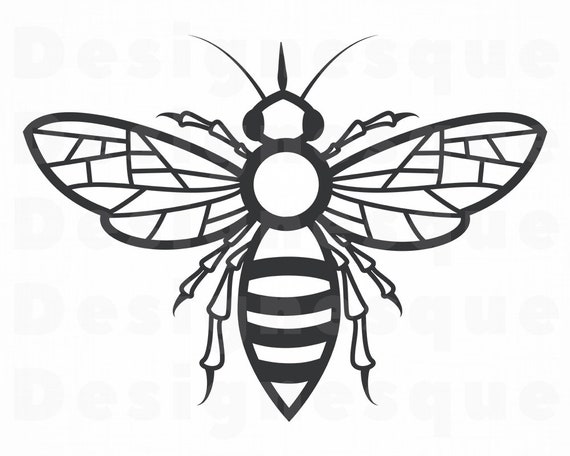 Free Free Queen Bee Svg Free 184 SVG PNG EPS DXF File