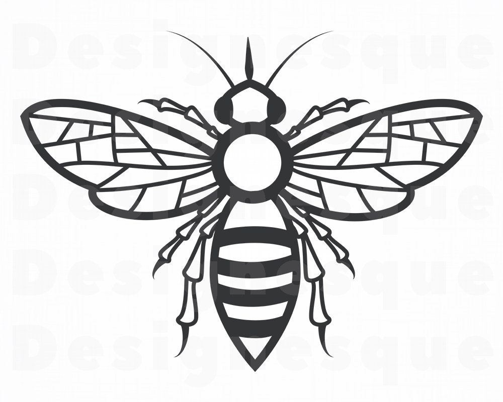 Download Bee SVG Queen Bee Svg Honey Svg Bee Clipart Bee Files for | Etsy
