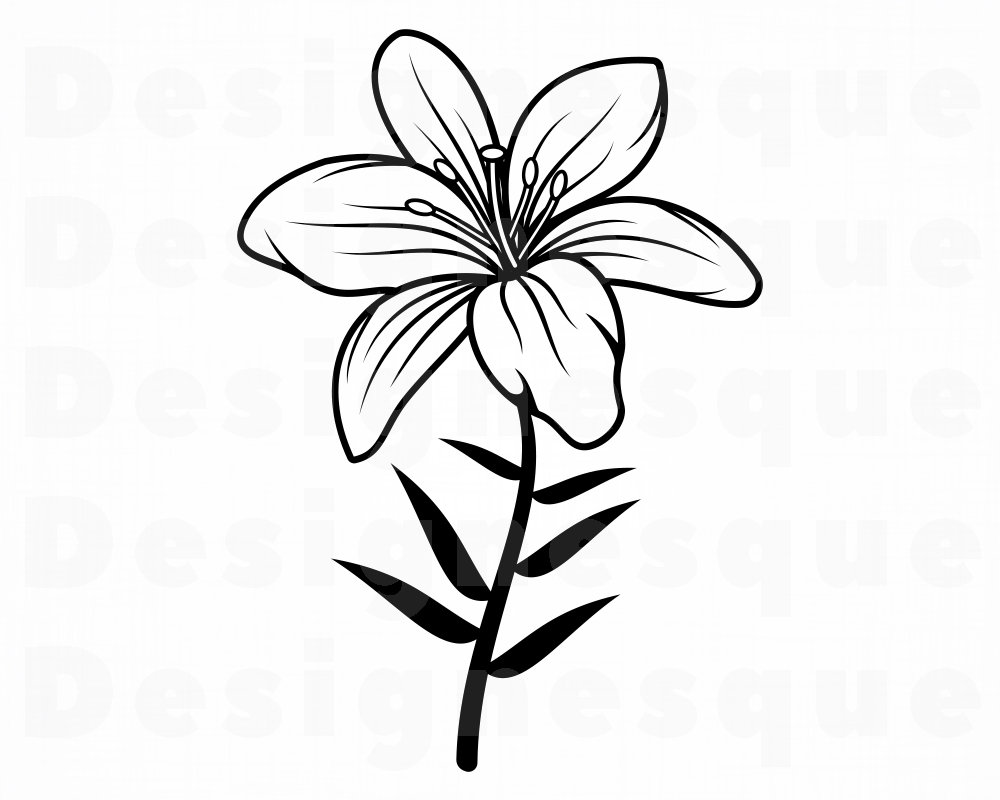 Lily Flower SVG Lily SVG Flower Svg Lily Flower Clipart Etsy