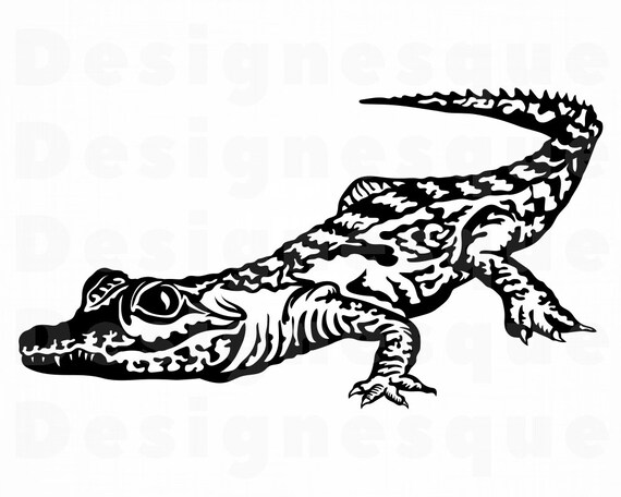Baby Crocodile Svg Baby Alligator Svg Crocodile Clipart Etsy