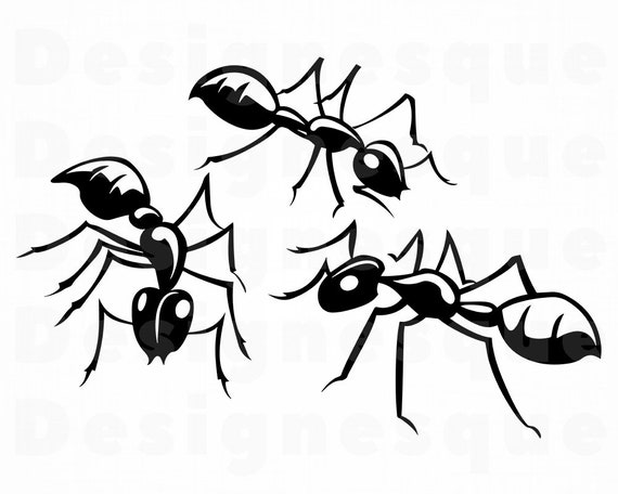 Ants 2 Svg Ant Svg Insect Svg Ants Clipart Ants Files For Etsy