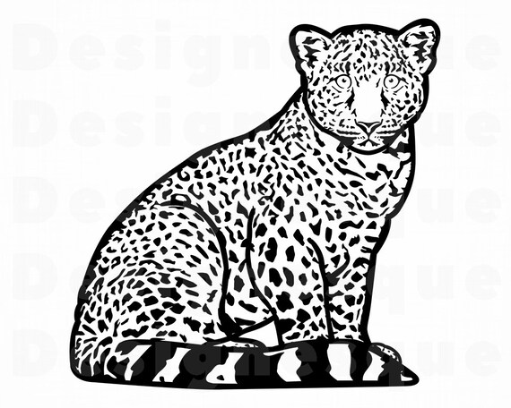 Download Leopard 3 Svg Leopard Svg Jaguar Svg Leopard Clipart Etsy