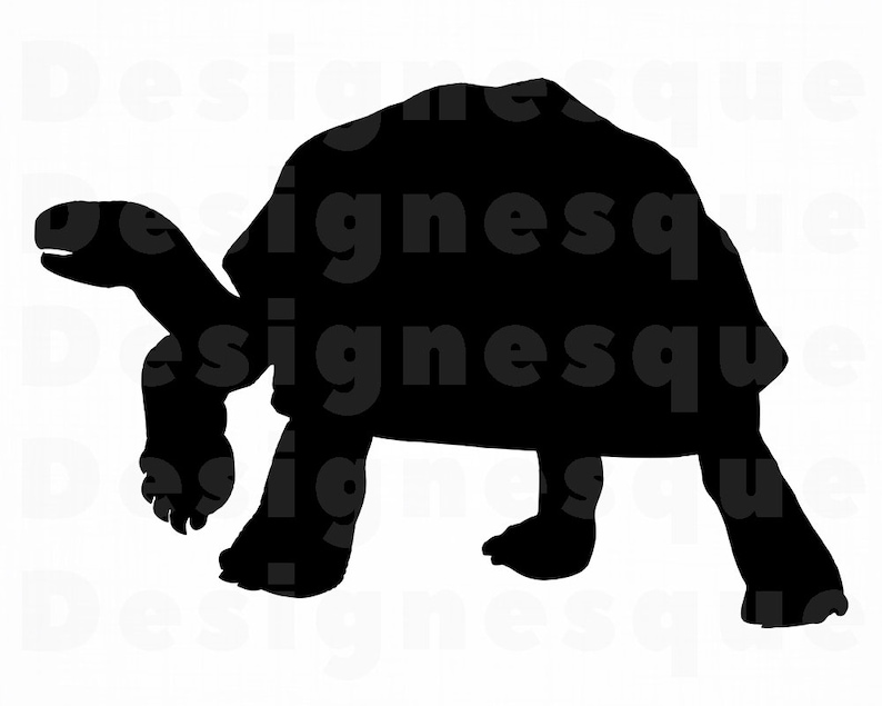 Download Turtle Silhouette 2 SVG Turtle Svg Tortoise SVG Turtle | Etsy