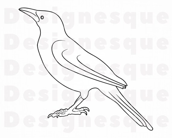 Krahe Umriss Svg Rabe Svg Krahe Clipart Krahe Dateien Fur Etsy