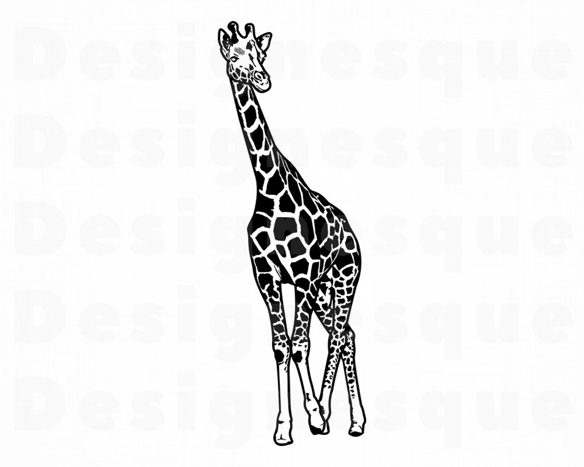 Giraffe Svg Cute Funny Sideways Safari Giraffe Cut Fi - vrogue.co