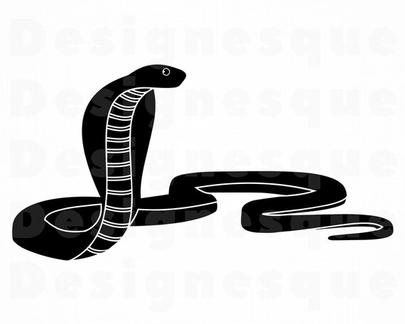 Free Free King Cobra Svg 597 SVG PNG EPS DXF File