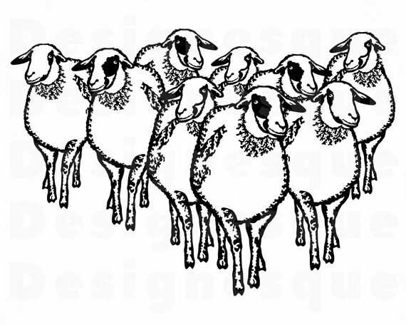 Download Herd Of Sheep Svg Sheep Svg Shepherd Svg Farm Svg Sheep Etsy