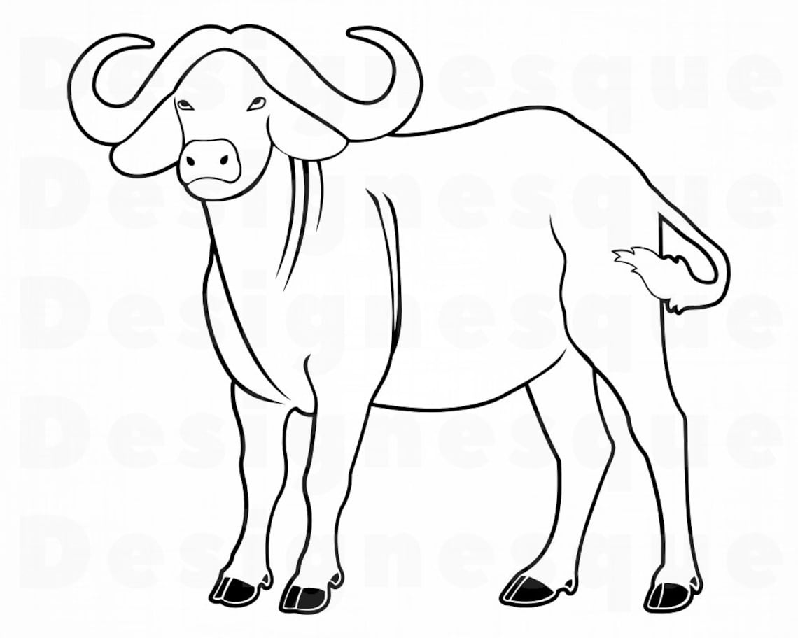 African Buffalo Outline Svg Cape Buffalo Outline Svg Buffalo Etsy African Buffalo Outline Svg Cape Buffalo Outline Svg Buffalo Etsy