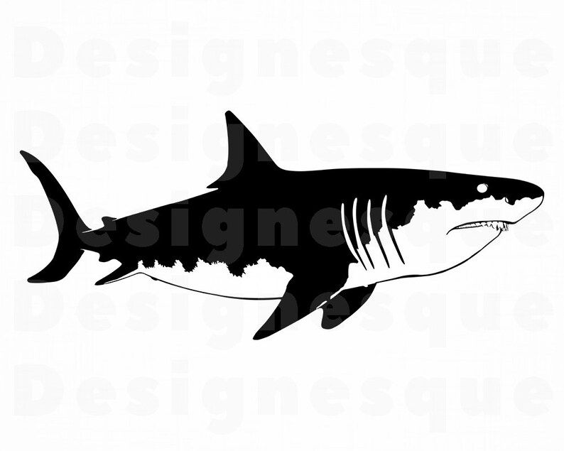 Download Great White Shark SVG Shark Svg Shark Clipart Shark Files ...