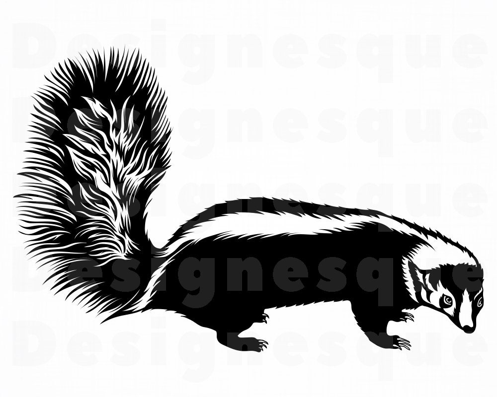 Skunk 2 SVG Skunk SVG Skunk Clipart Skunk Files for | Etsy