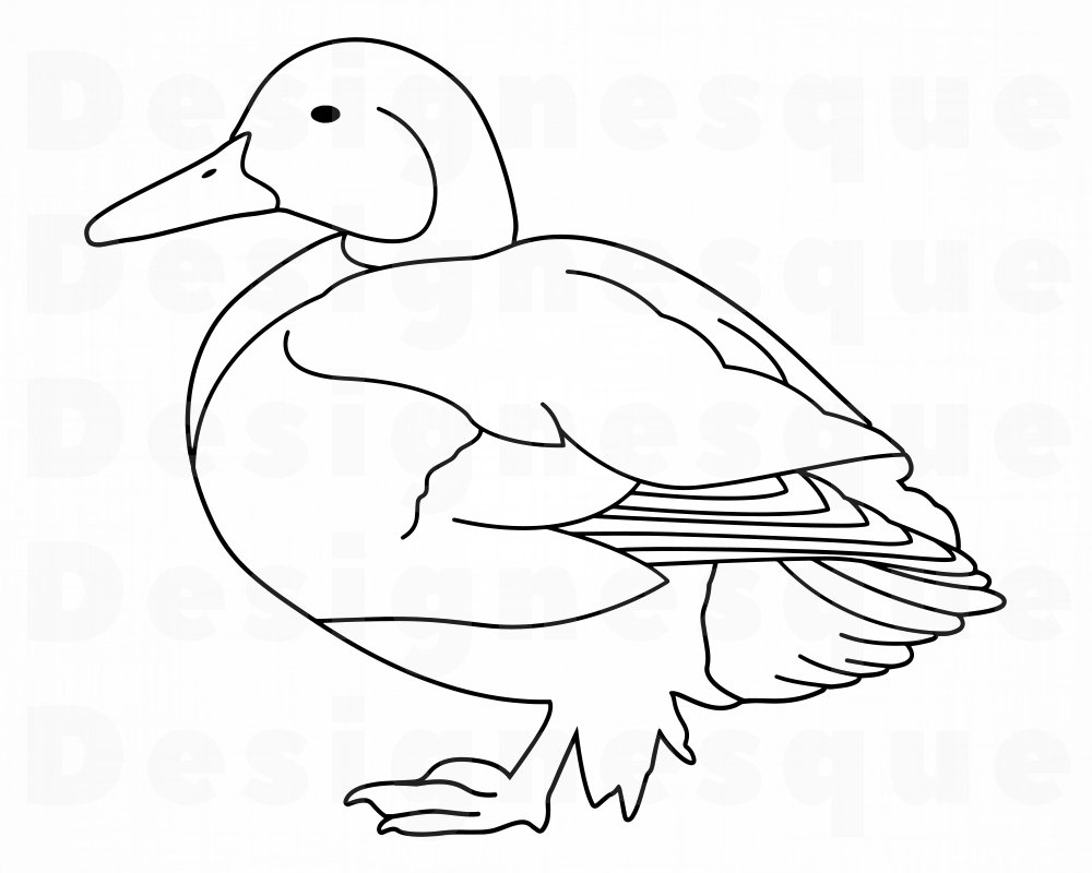 Duck Outline SVG Duck Svg Duck Clipart Duck Files for Etsy