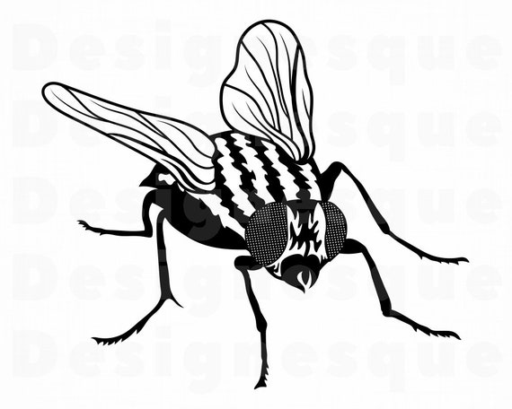 Fly Files for Cricut Fly Cut Files For Silhouette Png Eps Fly Svg Fly Vector Fly Dxf Fly Clipart Insect Svg Flies Svg Fly #7 SVG
