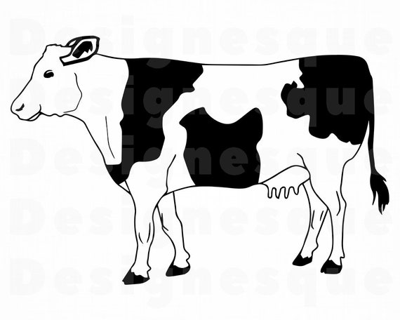 Download Cow 5 Svg Cow Svg Cattle Svg Cow Clipart Cow Files For Etsy