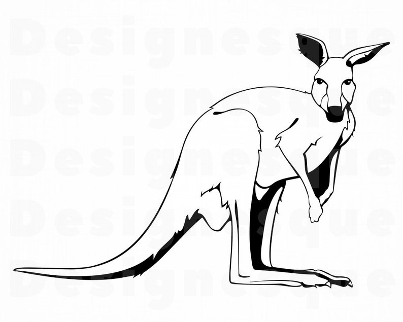 Kangaroo Outline SVG Kangaroo SVG Kangaroo Clipart Kangaroo Etsy