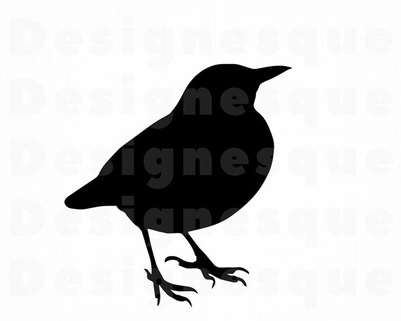 Download Bird Svg 5 Bird Clipart Bird Files For Cricut Bird Cut Etsy