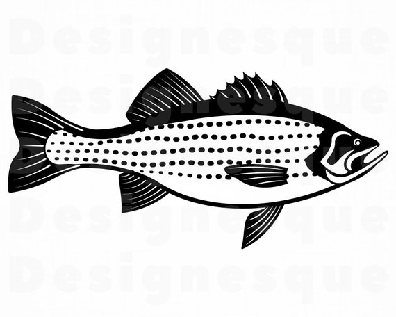 Download Striped Bass SVG Fishing Svg Fish Svg Fishing Clipart | Etsy