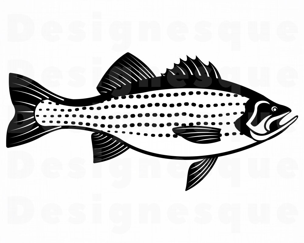 Free Free 303 Striped Bass Svg Free SVG PNG EPS DXF File