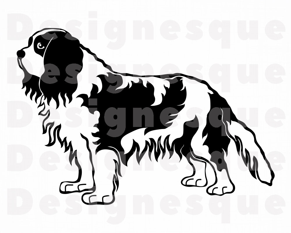 Cavalier King Charles Spaniel SVG Dog Svg Cavalier King | Etsy