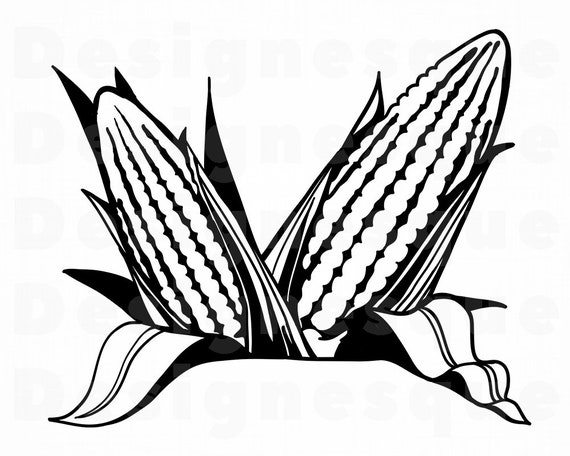 Corn 2 SVG Corn SVG Maize Svg Farming Svg Corn Clipart | Etsy