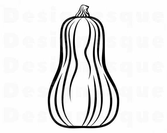 Butternut Squash Coloring Page Sketch Coloring Page