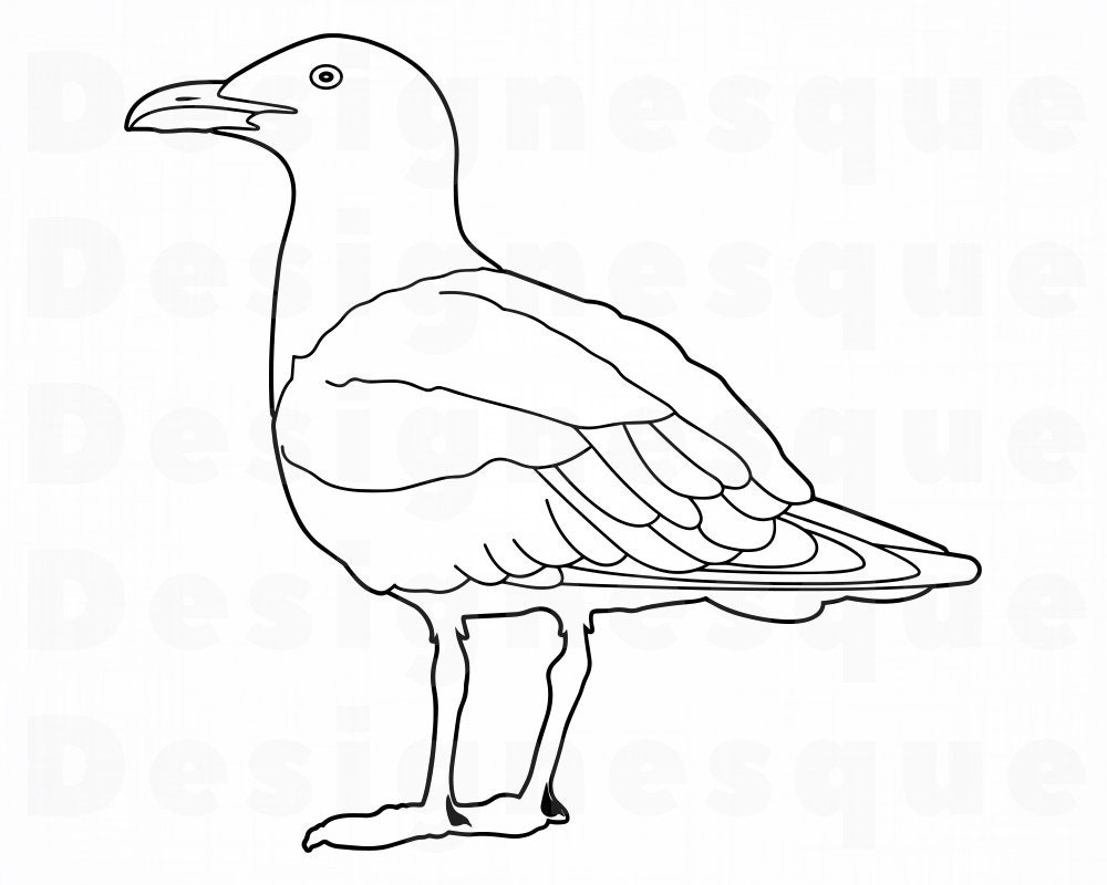 Sea Gull Outline SVG Sea Gull SVG Seagull Svg Sea Gull Etsy