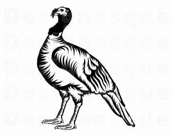 Download Wild Turkey Clipart Svg Cut Files