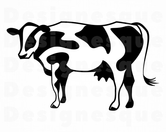Download Cow Svg Cattle Svg Cute Cow Svg Cow Clipart Cow Files For Etsy