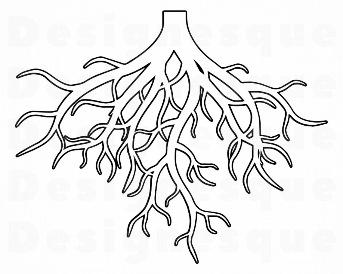 Roots Outline SVG Roots SVG Tree Roots Svg Family Svg Etsy