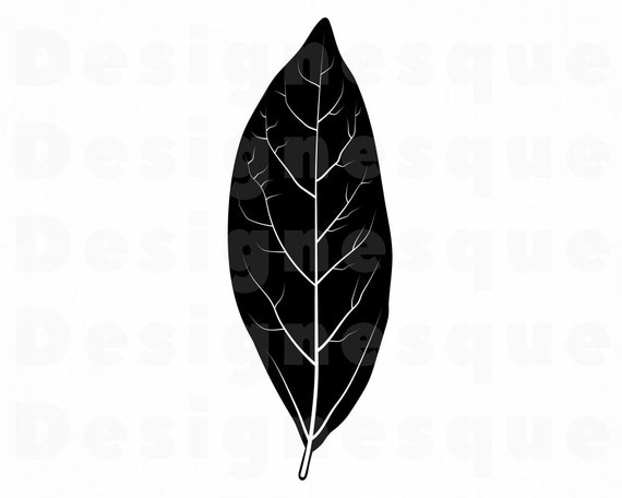 Download Bay Leaf Svg Bay Leaf Clipart Bay Leaf Files For Cricut Bay Leaf Cut Files For Silhouette Bay Leaf Dxf Bay Leaf Png Leaf Eps Vector