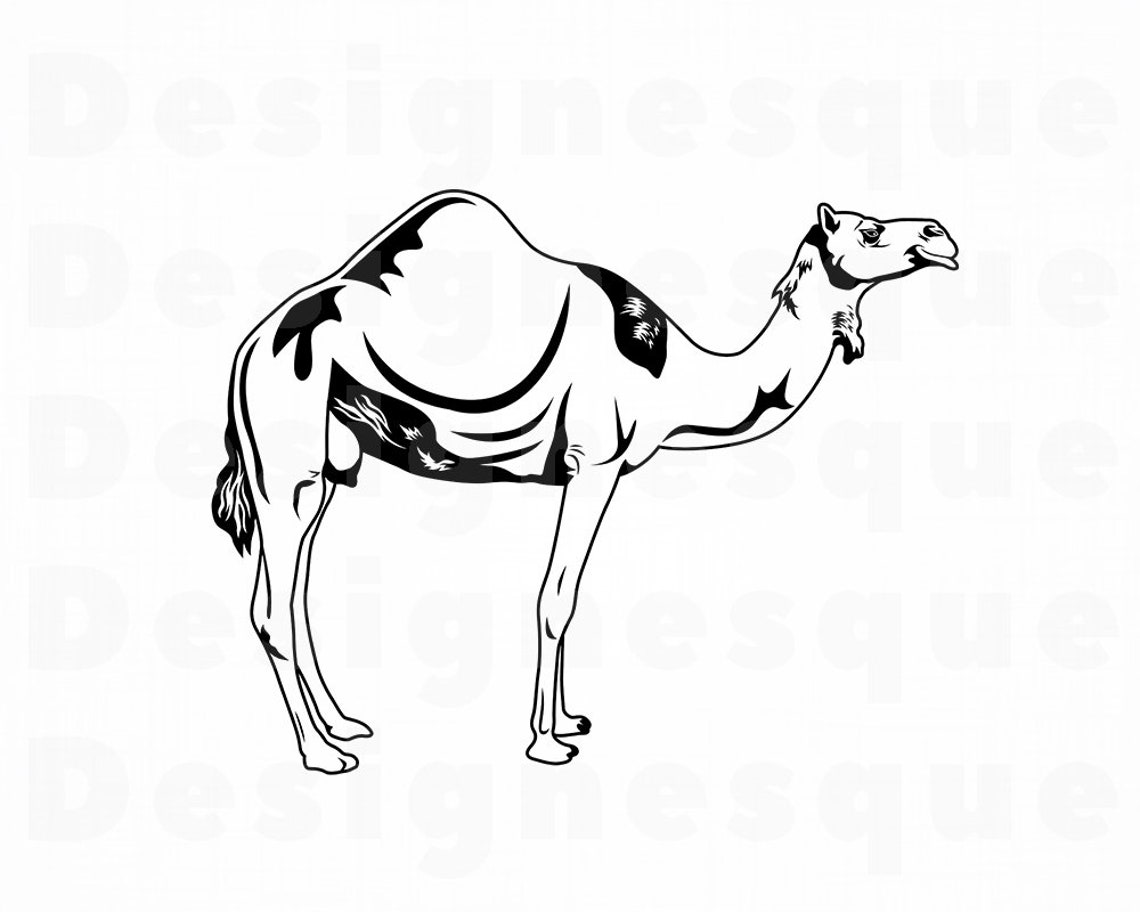 Camel Outline SVG Camel Svg Camel Clipart Camel Files for | Etsy