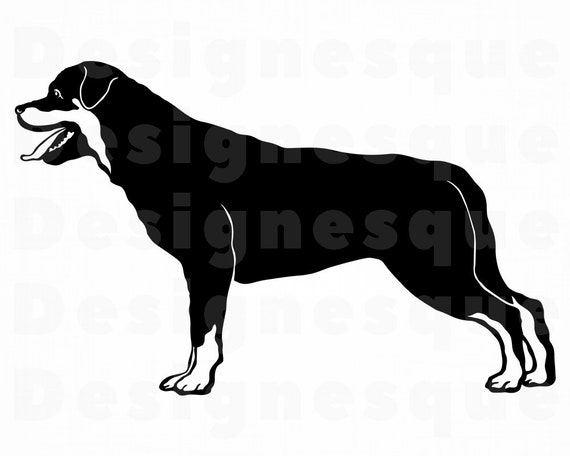 Download Rottweiler 2 Svg Dog Svg Rottweiler Clipart Rottweiler Files For Cricut Rottweiler Cut Files For Silhouette Rottweiler Dxf Png Vector