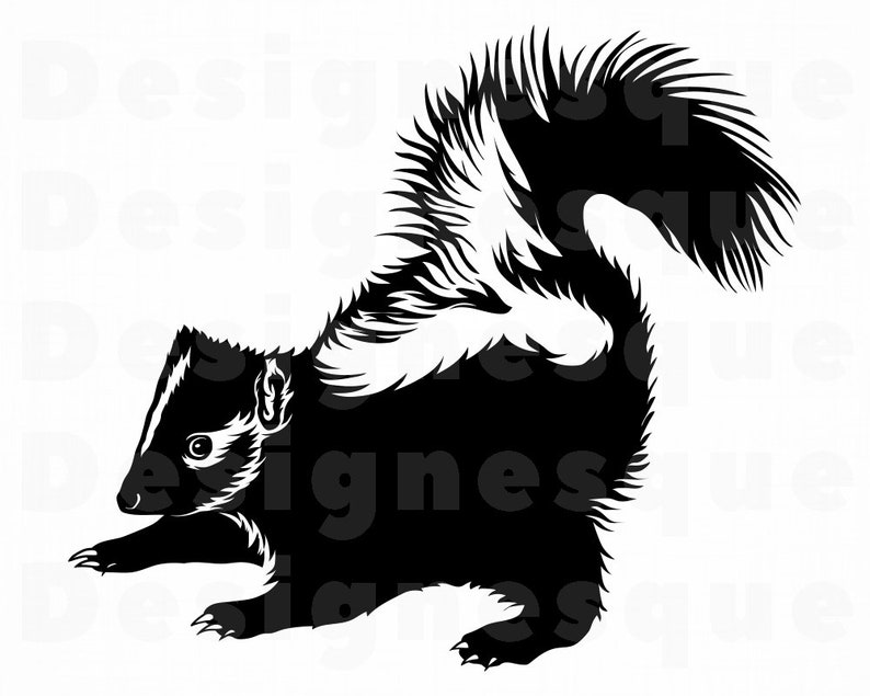 Baby Skunk SVG Skunk SVG Skunk Clipart Skunk Files for | Etsy