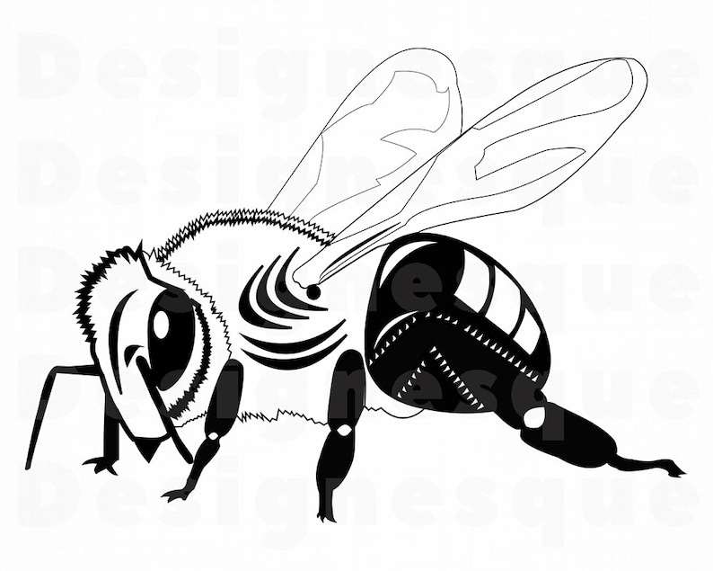 Free Free Queen Bee Little Honey Svg 244 SVG PNG EPS DXF File