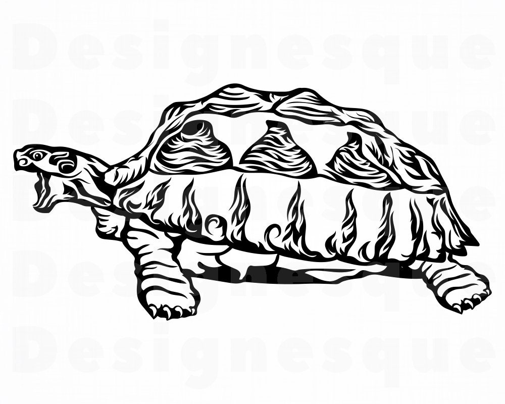 Turtle Files for Cricut Turtle Clipart Tortoise SVG Dxf Turtle #3 SVG Turtle Svg Png Eps Sea Creatures SVG Cut Files For Silhouette