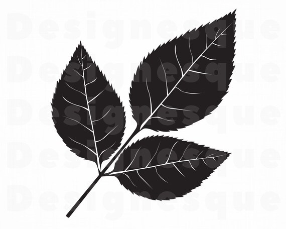 Download Rose Leaf Svg Leaf Svg Rose Leaves Svg Rose Leaf Clipart Etsy