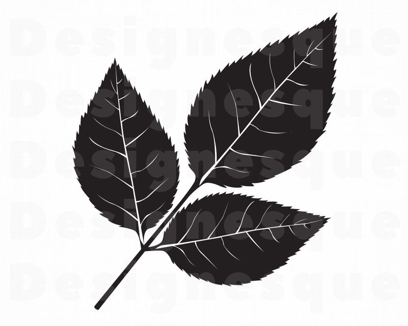 Rose Leaf SVG Leaf Svg Rose Leaves Svg Rose Leaf Clipart Etsy