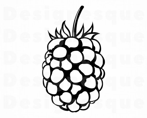 Free Free Blackberry Fruit Svg 541 SVG PNG EPS DXF File