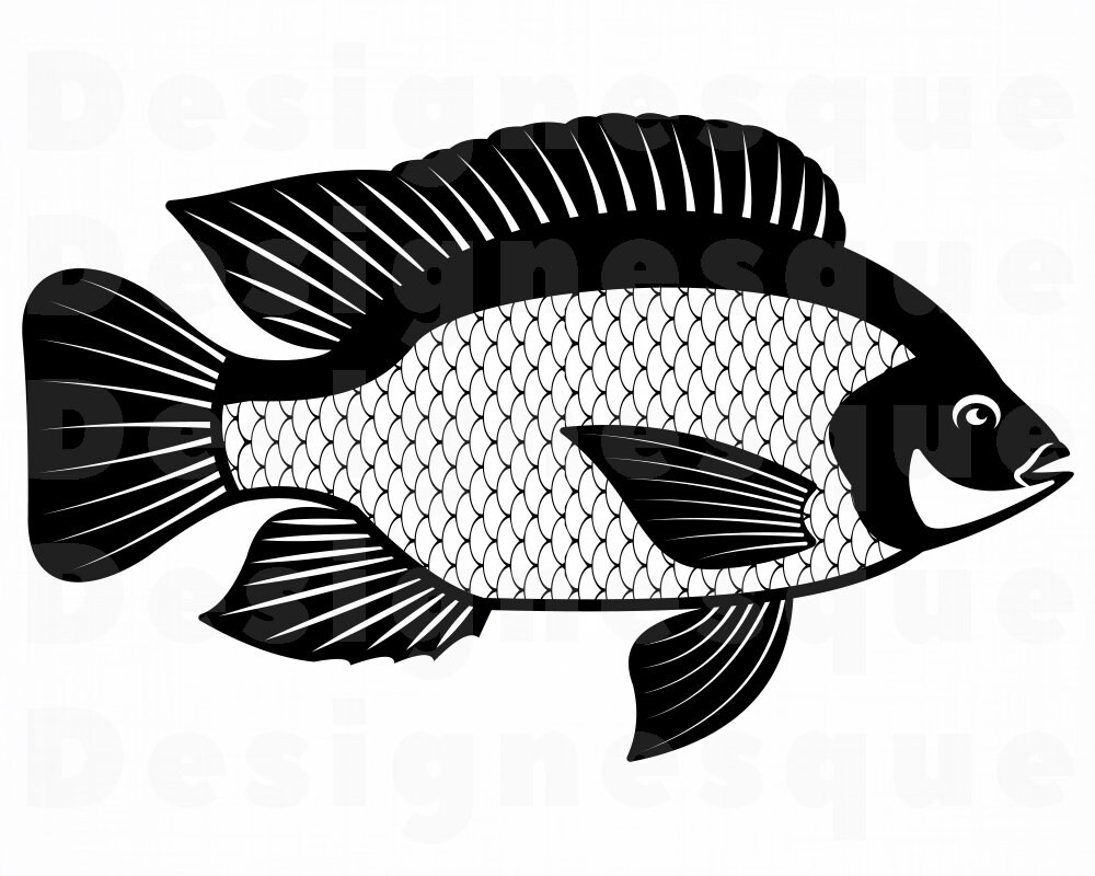 Free Free 299 Fishing Svg Vector SVG PNG EPS DXF File