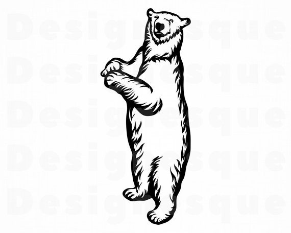 Download Polar Bear 5 Svg Polar Bear Svg Bear Svg Polar Bear Etsy