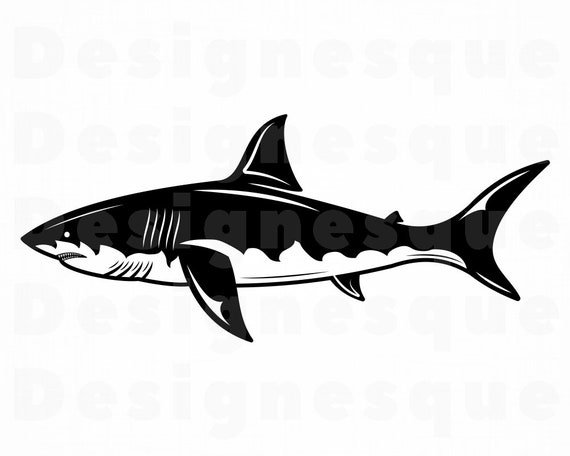 Download Great White Shark 10 SVG Shark Svg Shark Clipart Shark | Etsy