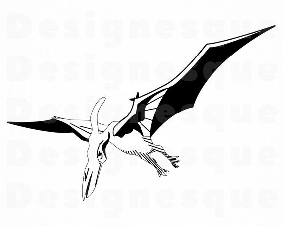 Download Pterodactyl Svg Dinosaur Svg Pterodactyl Clipart Pterodactyl Files For Cricut Pterodactyl Cut Files For Silhouette Dxf Png Eps Vector