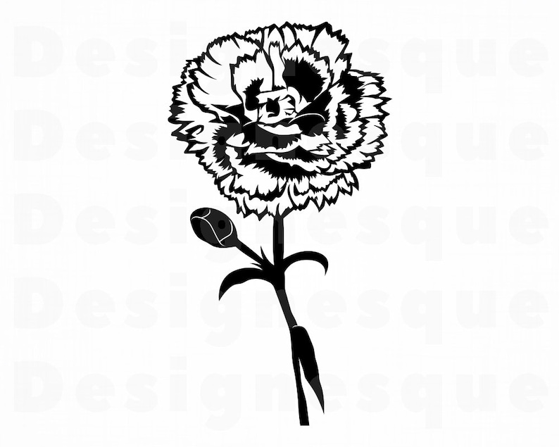 Carnation Flower SVG Flower SVG Flower Clipart Flower Files | Etsy